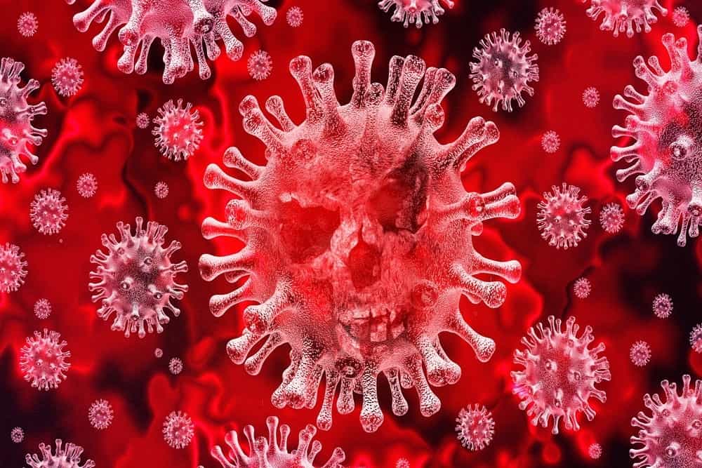 Coronavirus, nelle scuole arriva la circolare del Ministero del Ministero della Salute