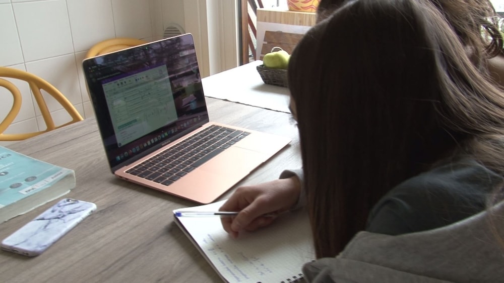 Dad al 100%, Giannelli: "Rischio di divario formativo irrecuperabile"