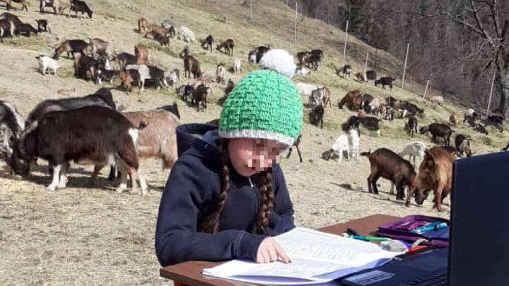 La storia di Fiammetta che fa Dad a 1.000 metri tra gli animali