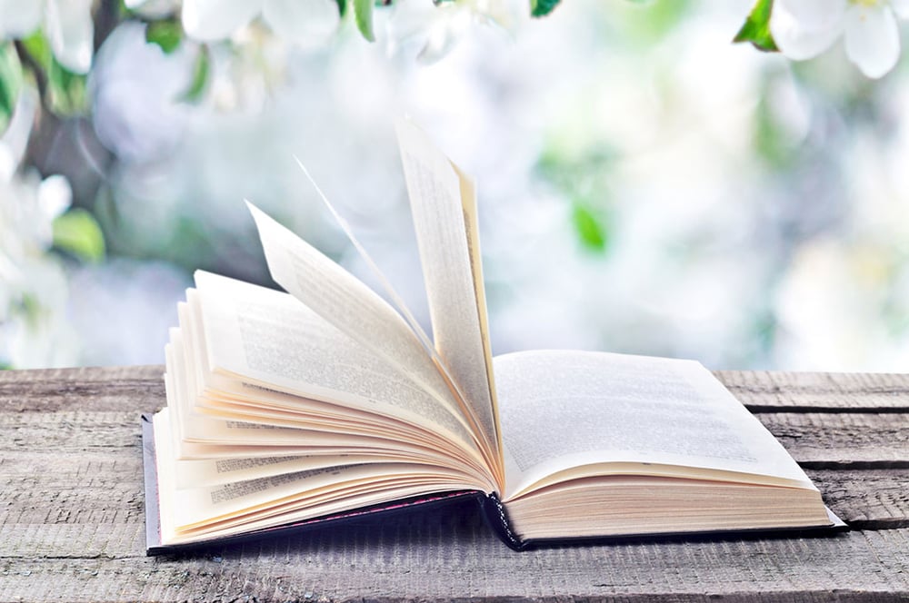 Scuola in Estate: 7 scuole su 10 contrarie al prolungamento estivo