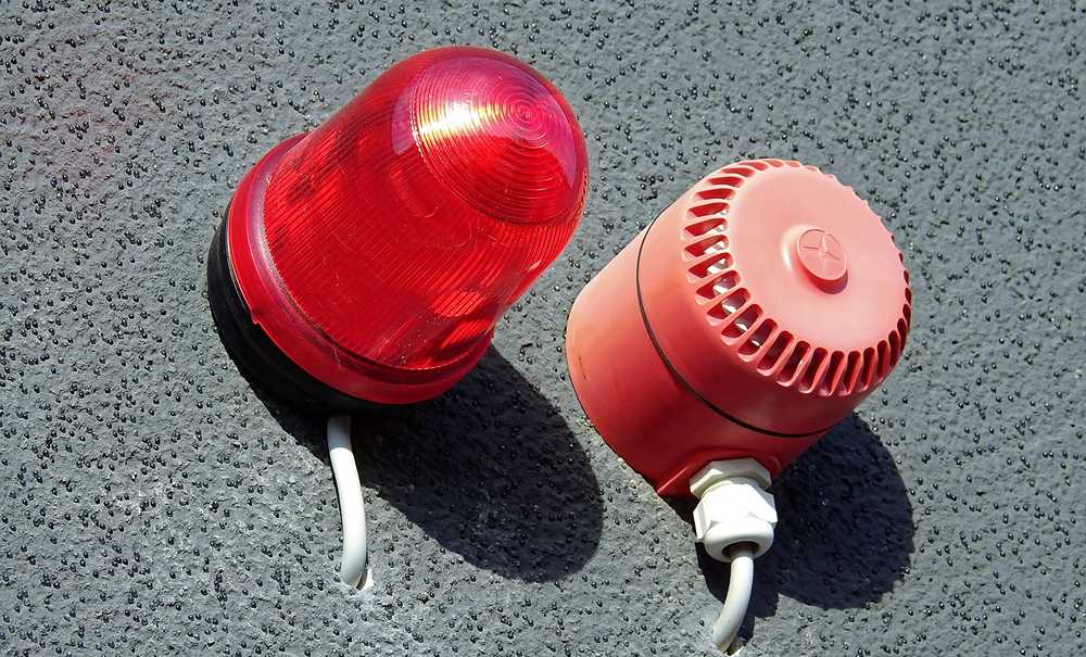 Choc a Forlimpopoli, furti in tutte le scuole del posto: otto istituti saccheggiati