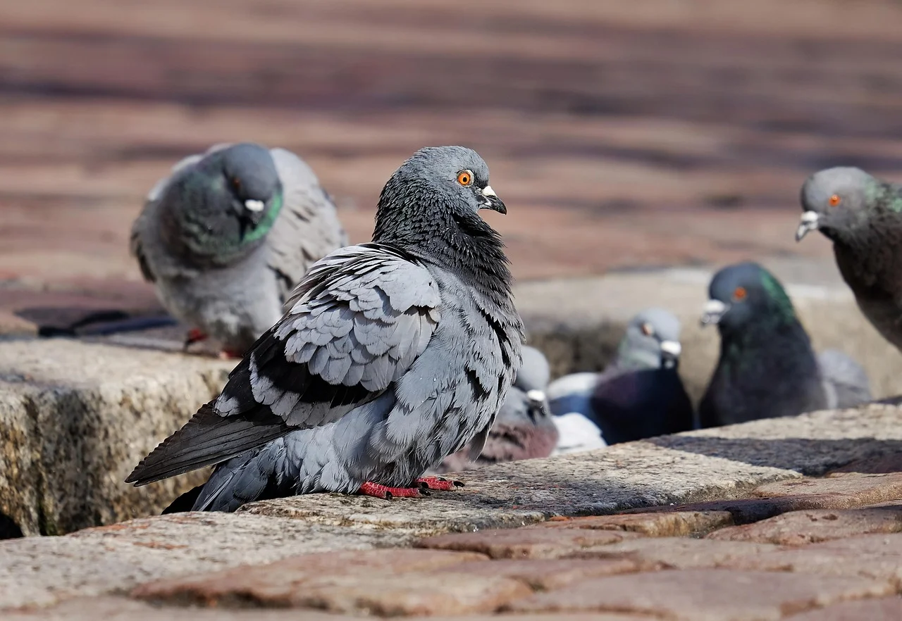 Busto Arsizio, gli studenti fotografano la natura in città