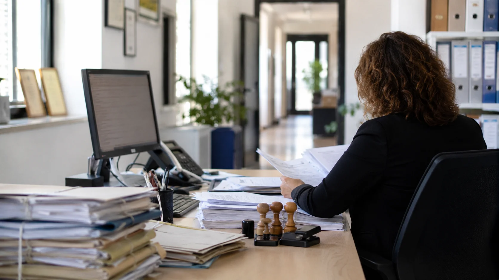 Immissioni in ruolo ATA 2026/27: quanti posti e ruolo del MEF